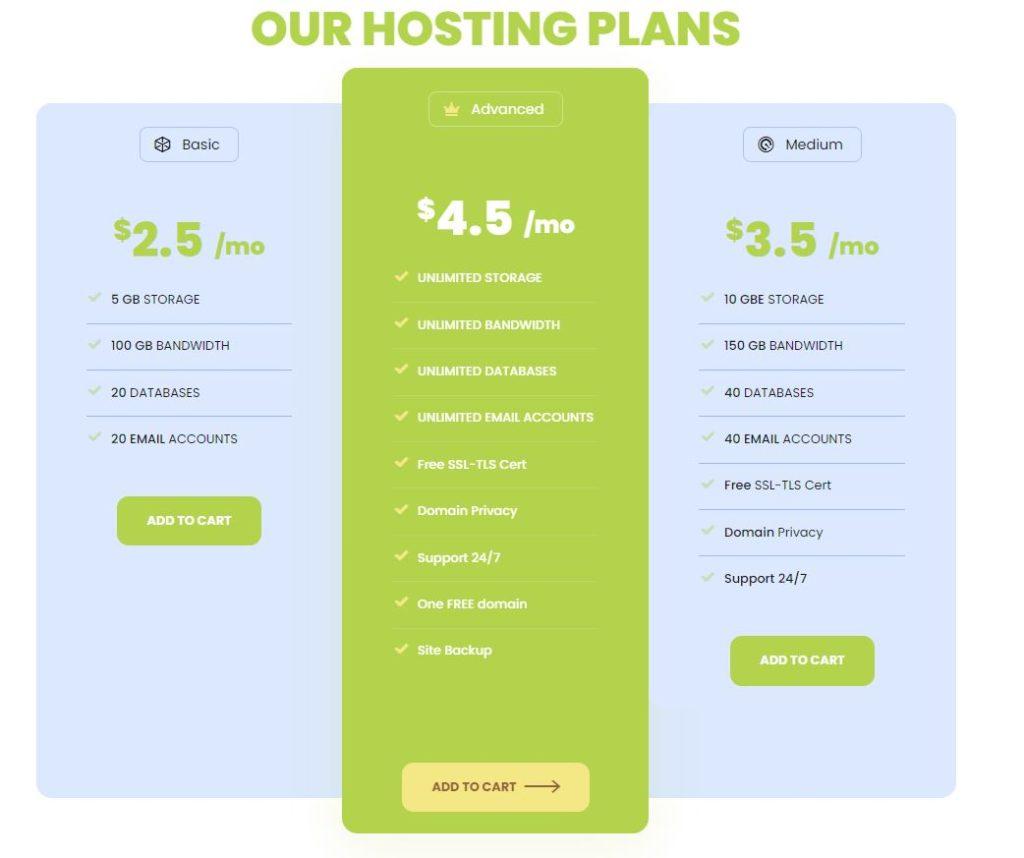 bastami web hosting plan. Web Design Agencies in Somalia